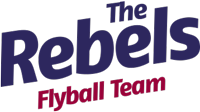The Rebels Flyball Team