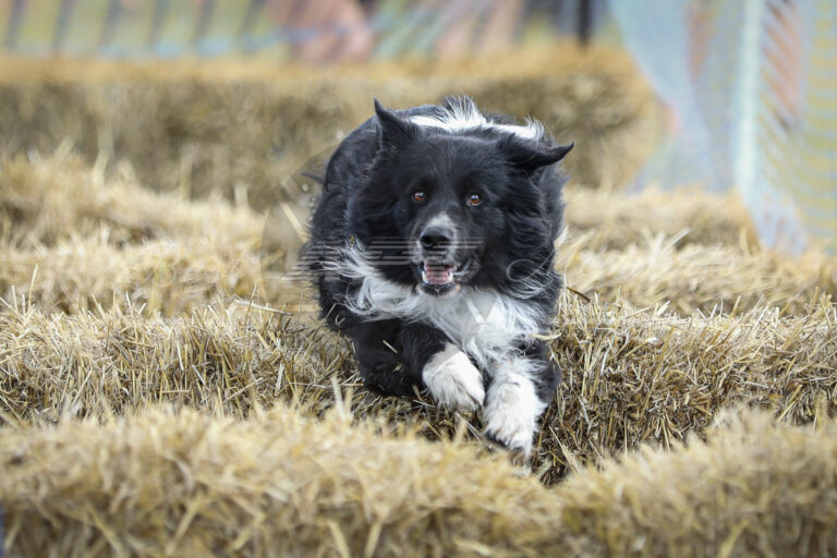 117909702 3830486996977848 4590949410783338162 o