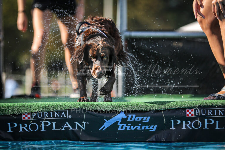 117971168 3830514010308480 3184184699689599719 o