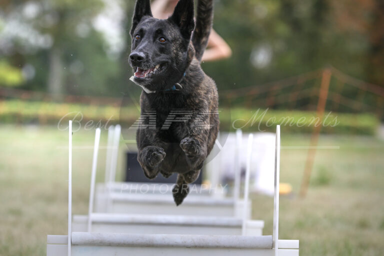 117971867 3830481150311766 2188996275481527377 o