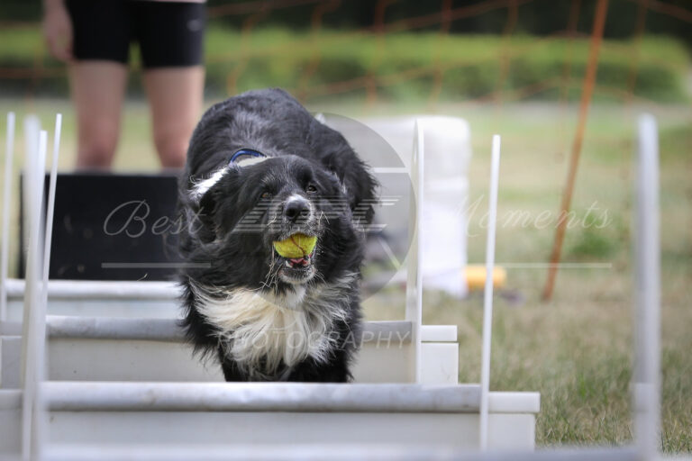 117973920 3830477370312144 5802488893513086324 o