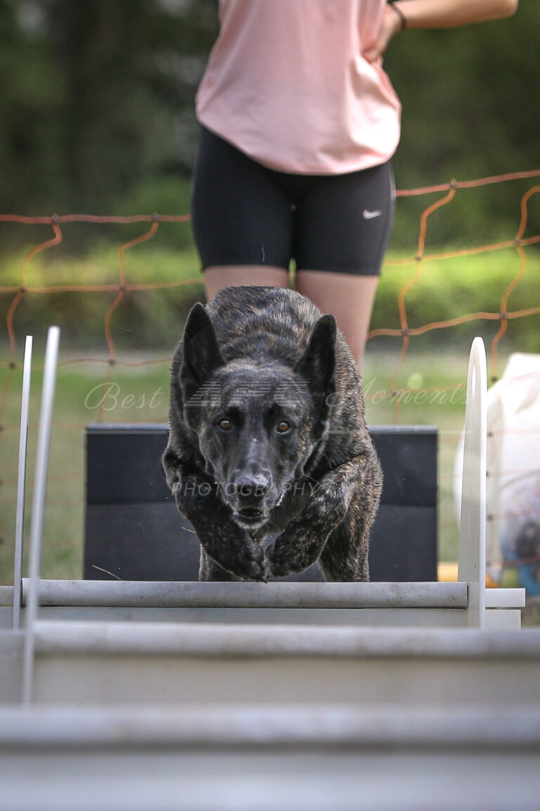 117981432 3830481103645104 4396312067379542850 o