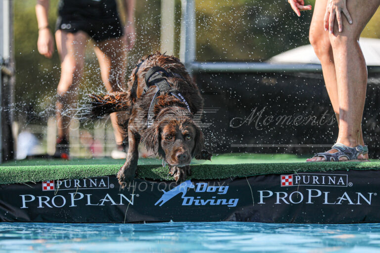 117987247 3830515686974979 852207520790400985 o