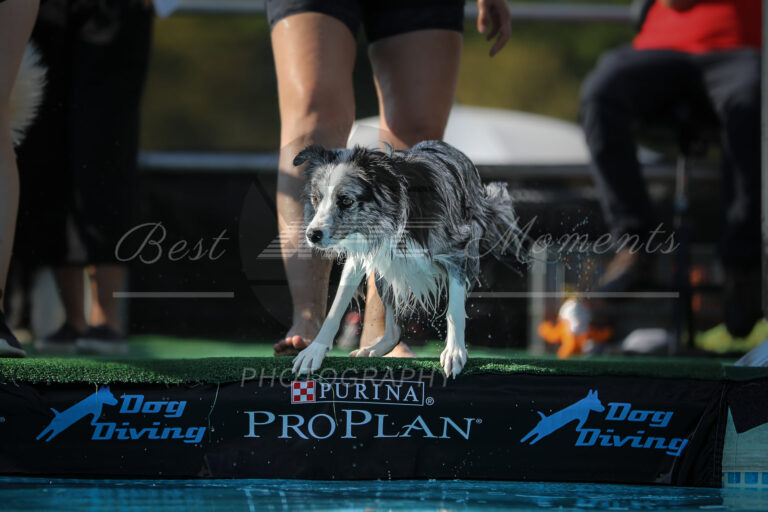 117987282 3830513693641845 857285649985816553 o