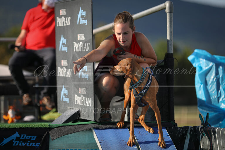 117990533 3830514416975106 3449222513692969596 o