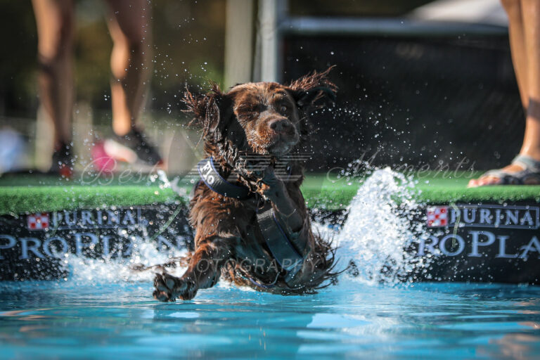 117992363 3830514030308478 8305457546871199342 o