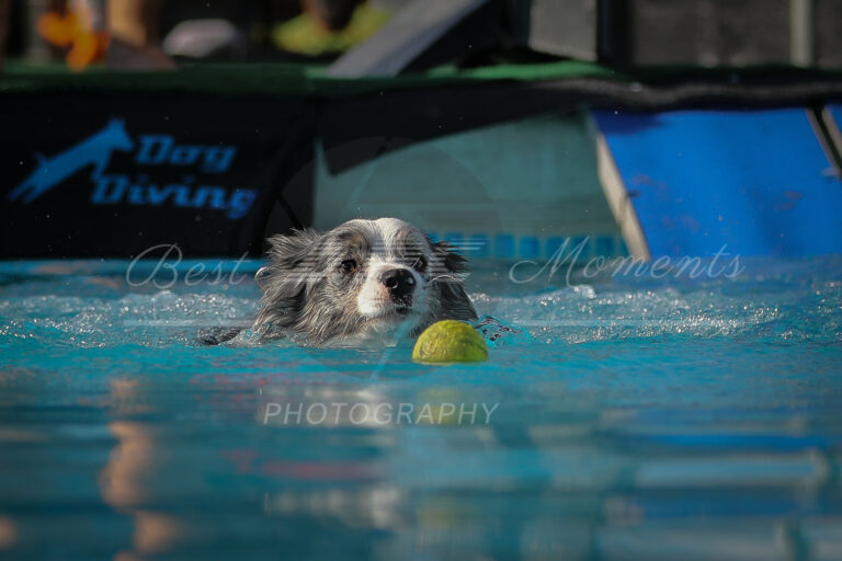 118003736 3830516636974884 936009979219068044 o