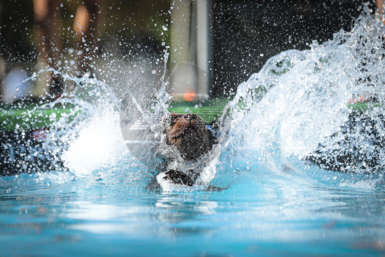 118004939 3830516443641570 1161360911619321328 o