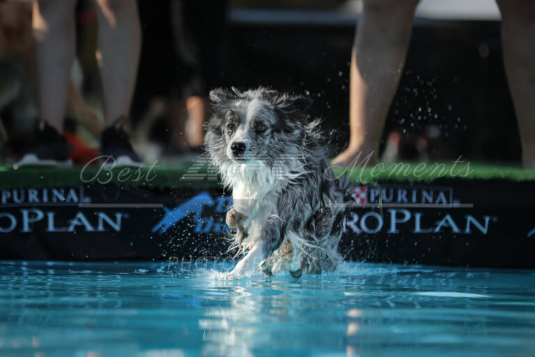 118007645 3830518443641370 8655876451187052766 o