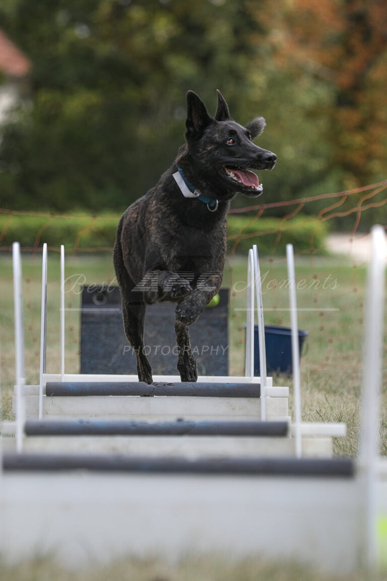 118031777 3830481313645083 4421468682381127857 o