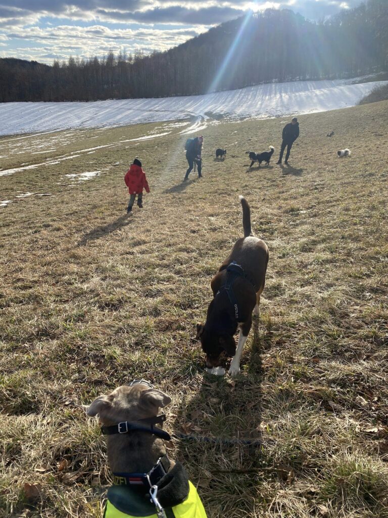 2023 02 05 spaziergang01