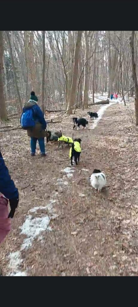 2023 02 05 spaziergang02