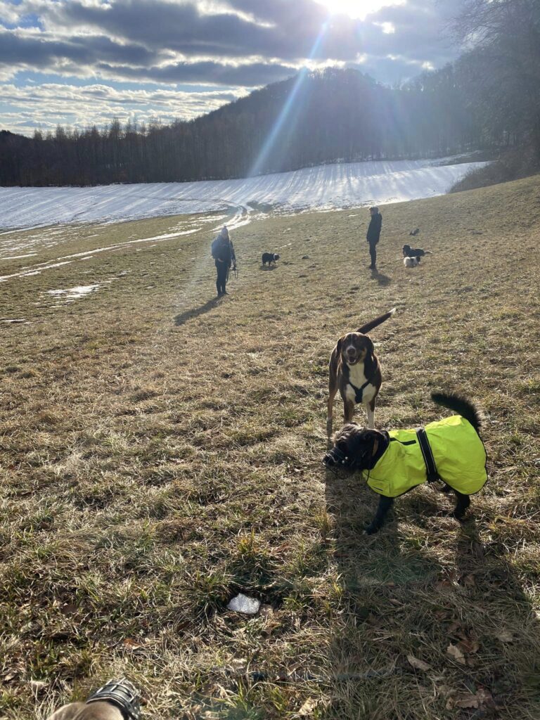 2023 02 05 spaziergang04