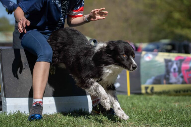 2026 dsc6284 bearbeitet