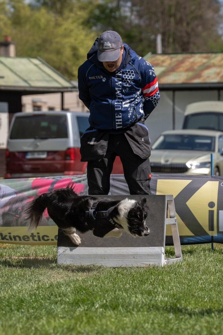 2026 dsc6408 bearbeitet