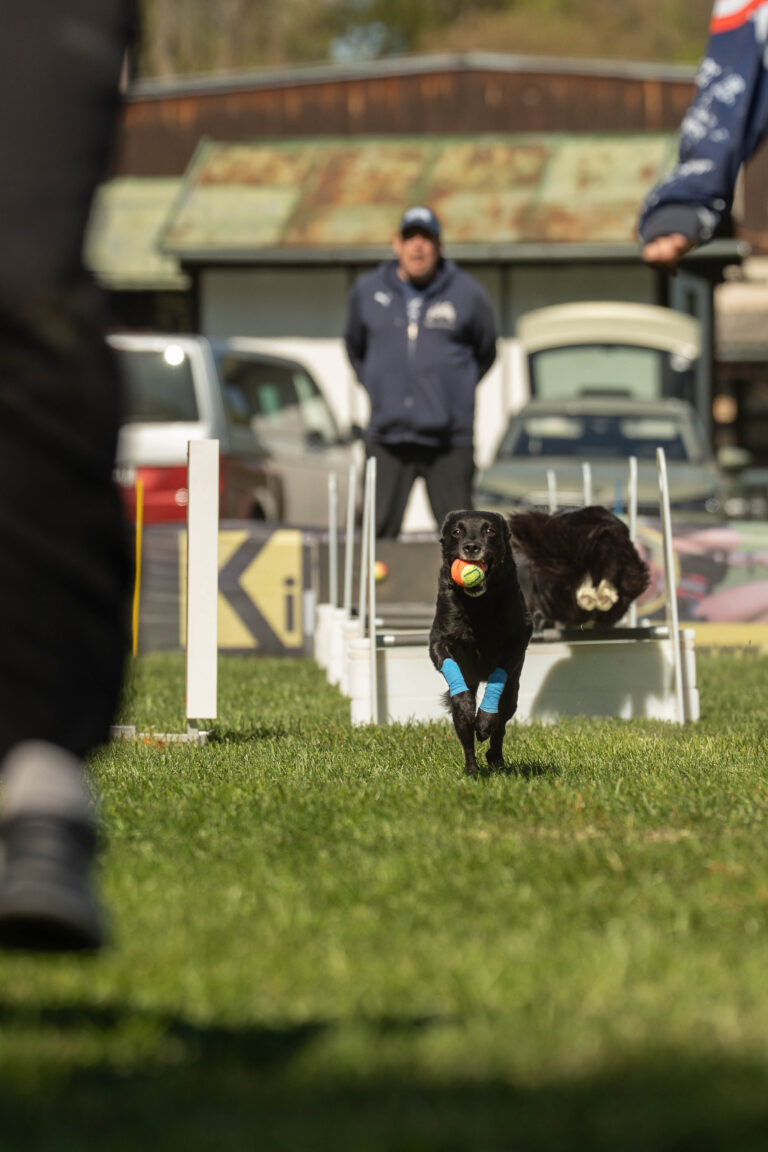 2026 dsc6867 bearbeitet