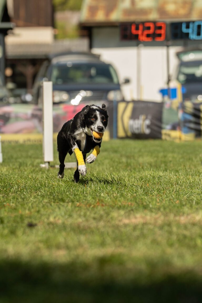 2026 dsc6877 bearbeitet