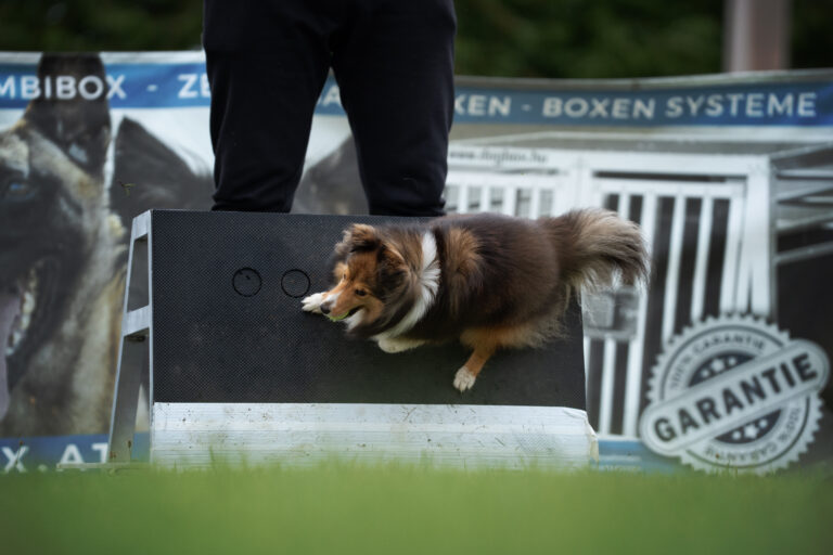 2026 dsc8219 bearbeitet