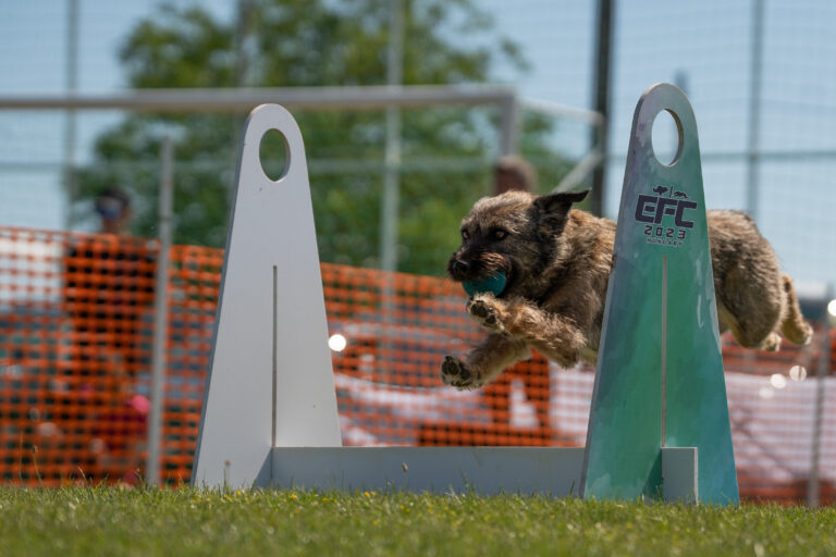 2026 dsc8570 bearbeitet