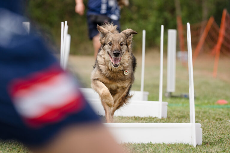 2026 dsc1070 bearbeitet