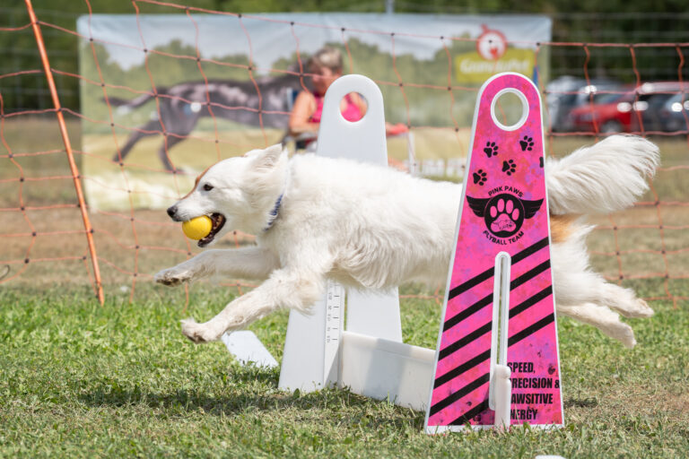 2026 dsc1107 bearbeitet