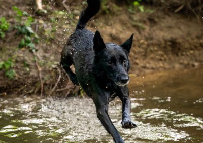 chloe+murphy+luis 36