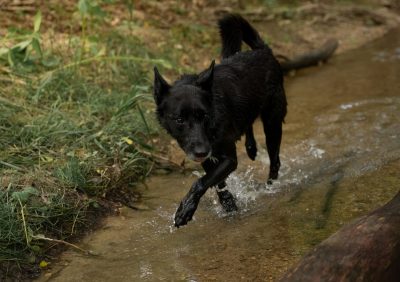 chloe+murphy+luis 37