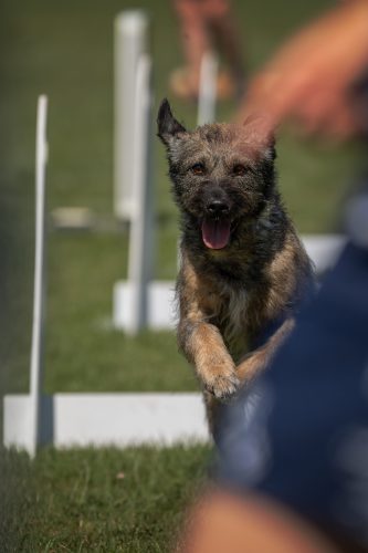 2026 dsc8542 bearbeitet