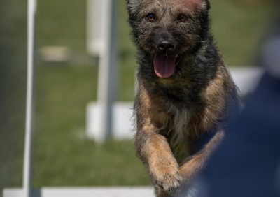 dsc8542 bearbeitet