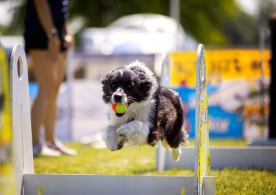 web e7a0224 bearbeitet