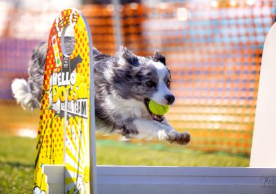 web e7a9544 bearbeitet