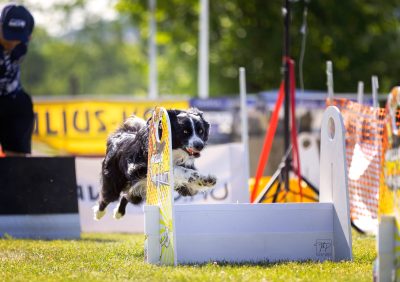 web e7a9827 bearbeitet